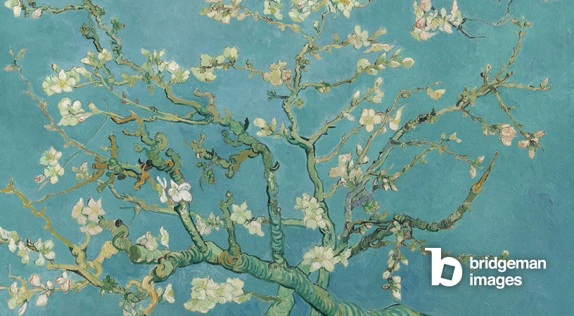 Gemälde von Vinvent van Gogh, das die Mandelblüte darstellt und von Ukiyo-e beeinflusst wurde