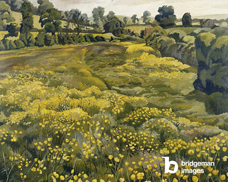 Butterblumen auf einer Wiese, (Öl auf Leinwand), Werk von Sir Stanley Spencer