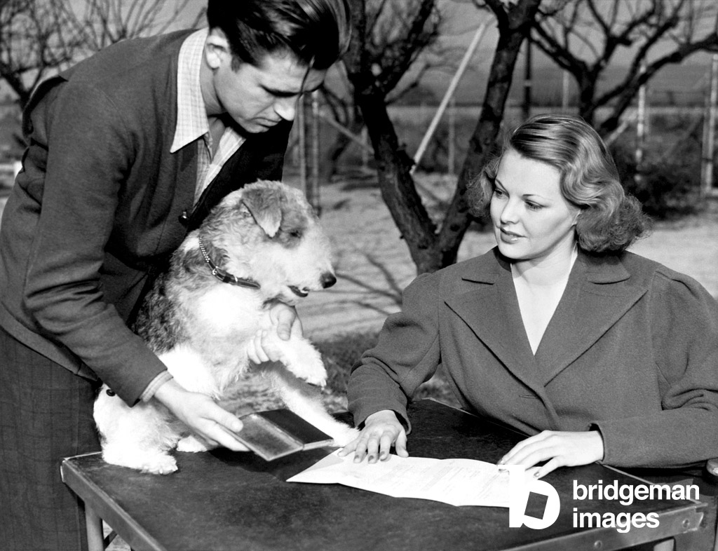 Skippy der Hund unterschreibt Vertrag, Hollywood, Kalifornien, 1937