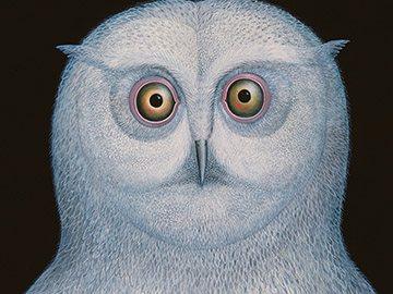 Great White Owl, 1996, Tamas Galambos / Private Collection / Bridgeman Images
