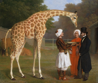(detail) The Nubian Giraffe, 1827 (oil on canvas) by Jacques-Laurent Agasse/ The Royal Collection © Her Majesty Queen Elizabeth II