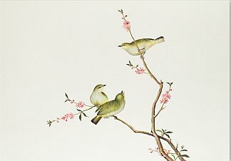 BAL9895 White-Eye bird, Ch'ien-lung period (1736-1796) (colour on paper) by Chinese School, Qing Dynasty (1644-1912)
